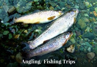 17-Activities-Fishing-Angling-Trips